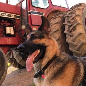 Meet your Posher, Jessica